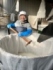 日本酒造りをする和田さん
