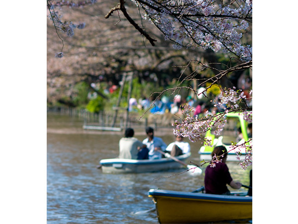 恋愛ジンクス、当たった人ってどのくらい？