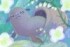 画像提供：マイナビニュース